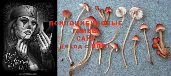 гидра Ельня