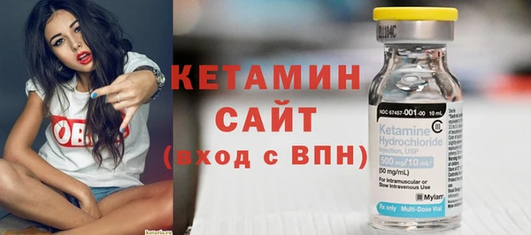 гидра Ельня