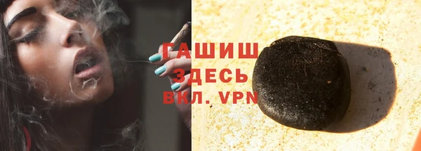 гидра Ельня