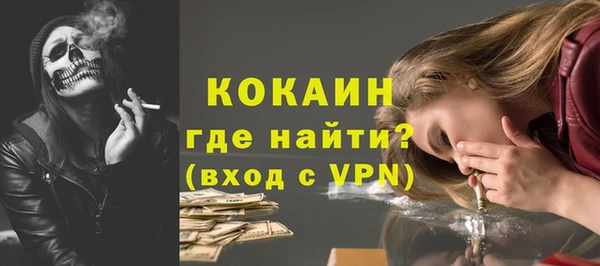 гидра Ельня