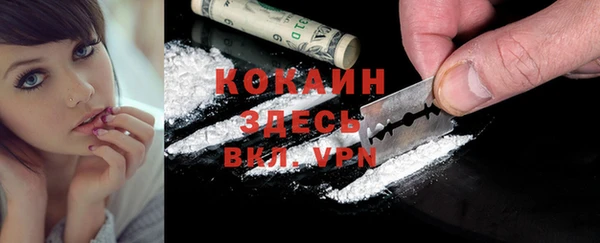 гидра Ельня