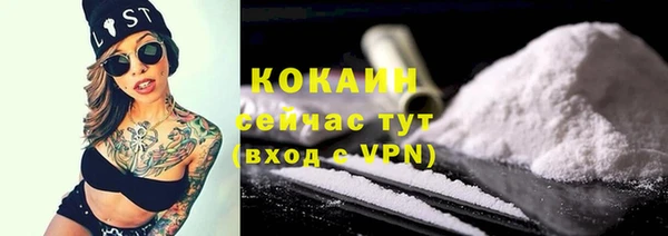 гидра Ельня