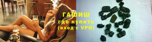 гидра Ельня