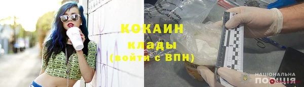 гидра Ельня