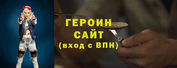 гидра Ельня