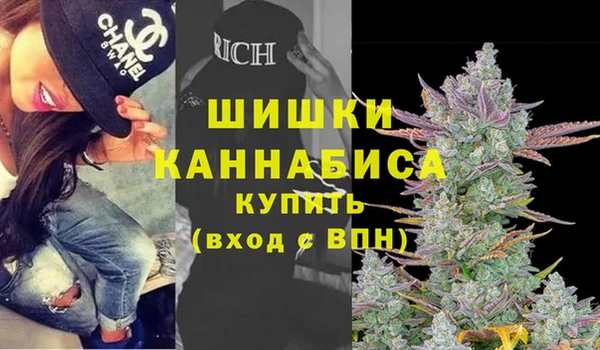 гидра Ельня