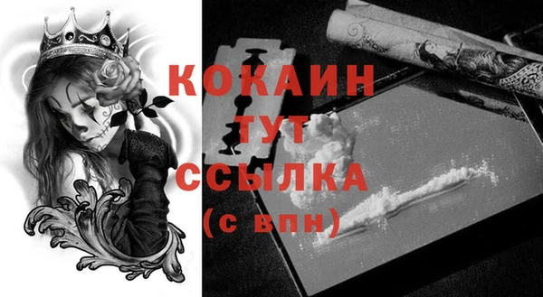 гидра Ельня