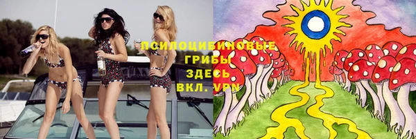 гидра Ельня