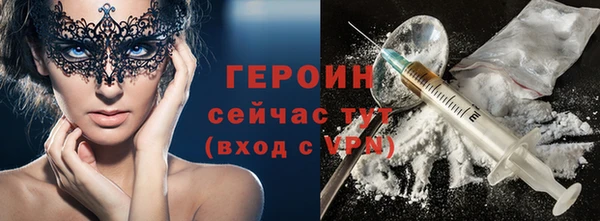 гидра Ельня