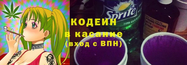 гидра Ельня