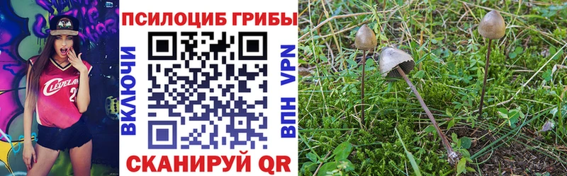 Галлюциногенные грибы мухоморы  где купить наркоту  Канск 